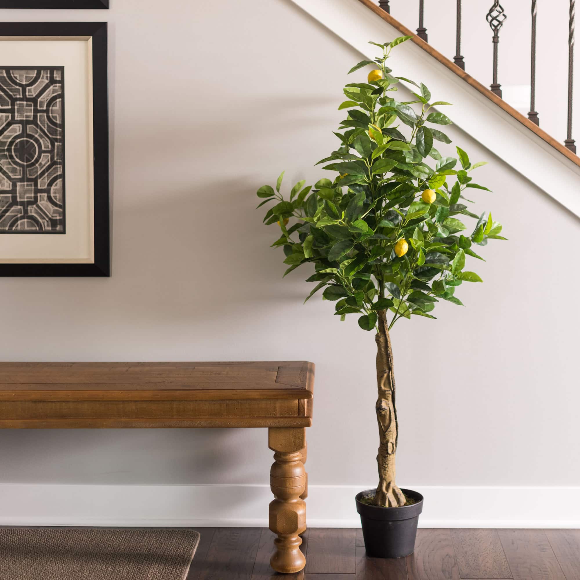 4ft. Potted Lemon Tree